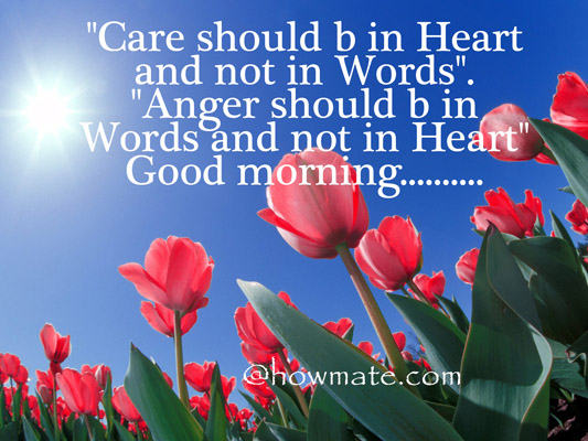 Image result for flowers with morning quotes