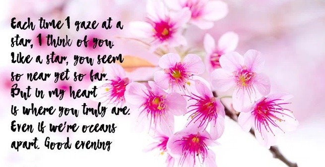 good evening images pictures wallpaper for friends with flowers