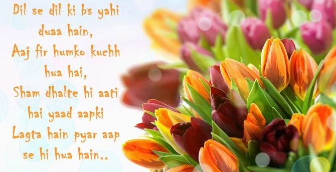 Good Evening Flowers Hd Images Flowers Healthy