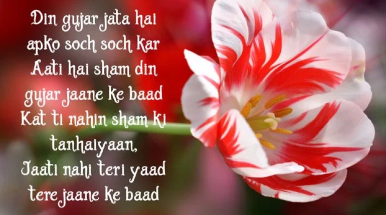 good-evening-flower-images - Howmate.com